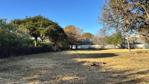 116 Orange Road, Akasia